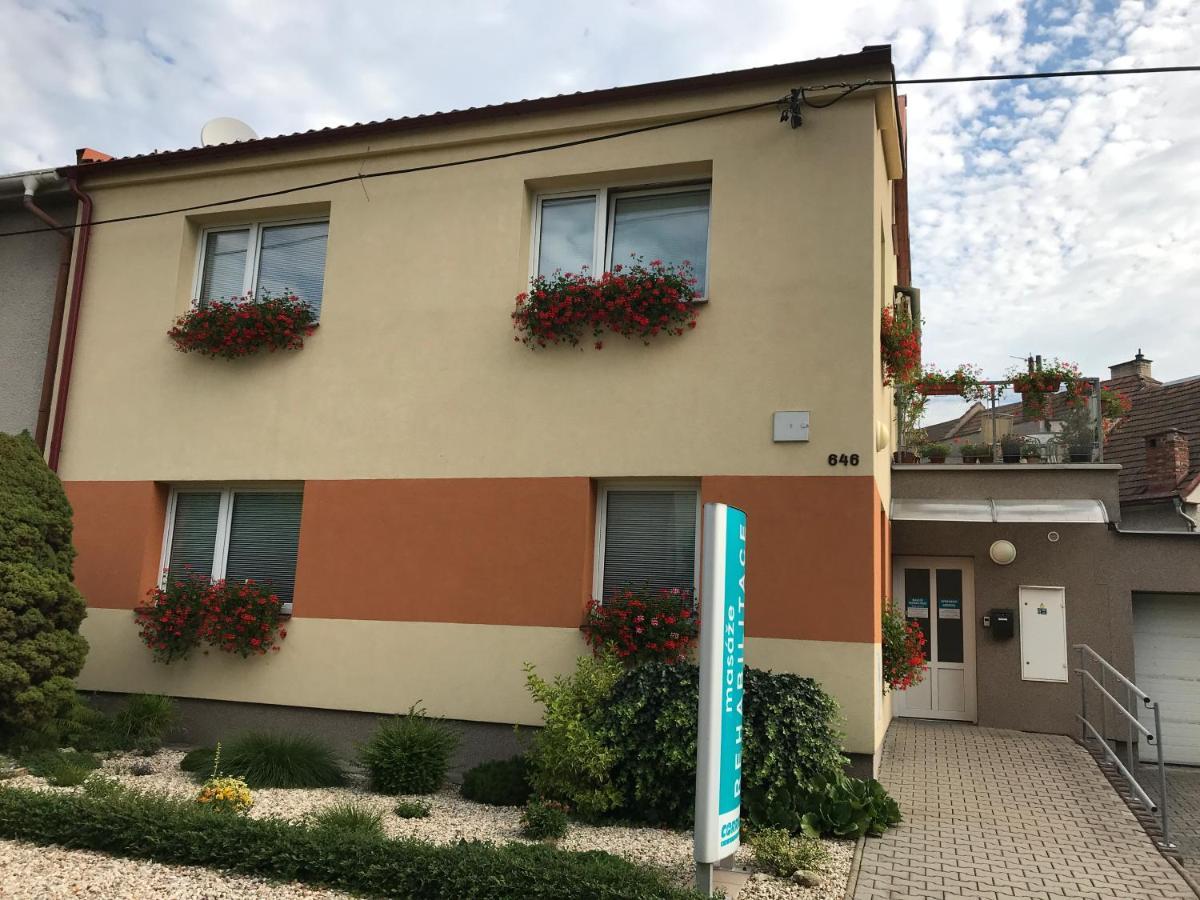Apartment Corriger Ústí nad Orlicí المظهر الخارجي الصورة